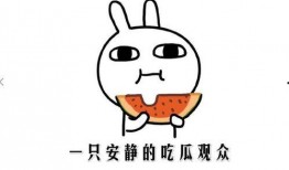 吃瓜事件最新,揭秘网络舆论背后的真相与争议