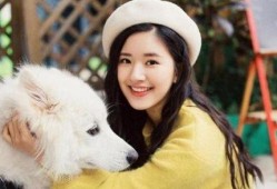 赵露思在娱乐圈吃瓜,揭秘明星背后的故事