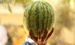 吃瓜事件最新,揭秘网络舆论背后的真相与争议