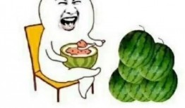 一线吃瓜娱乐圈讲的什么,一线吃瓜者的独家揭秘